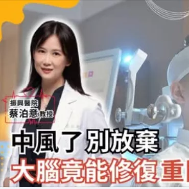 蔡泊意